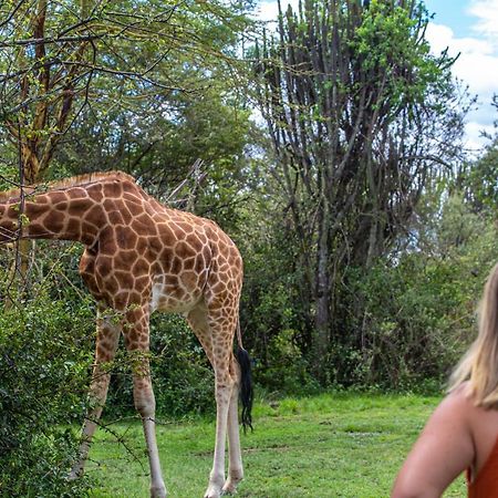 Mbweha Camp Lake Nakuru Elmenteita Ngoại thất bức ảnh