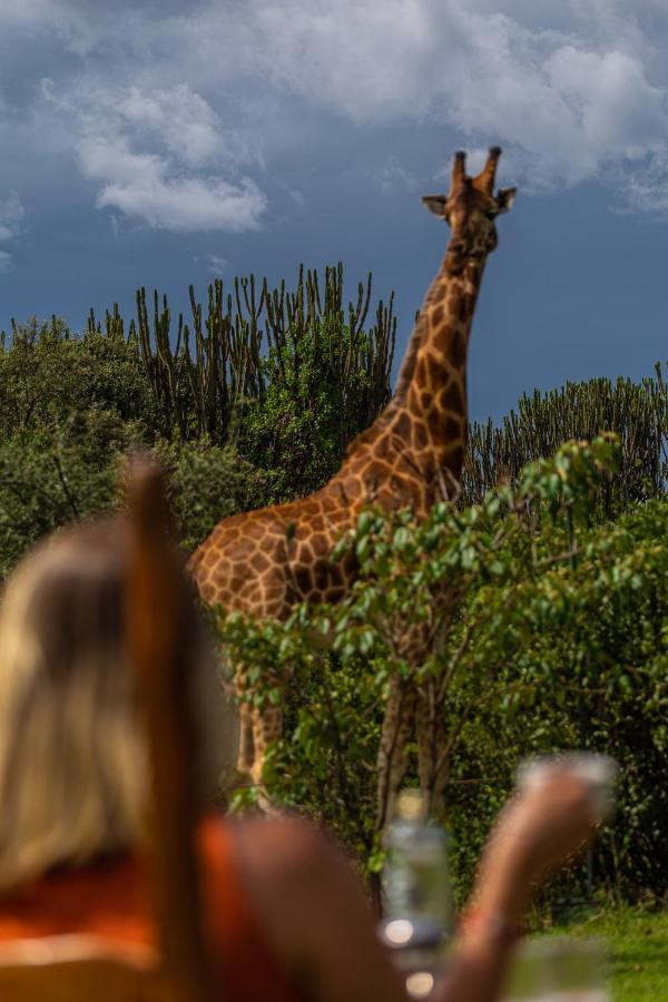 Mbweha Camp Lake Nakuru Elmenteita Ngoại thất bức ảnh