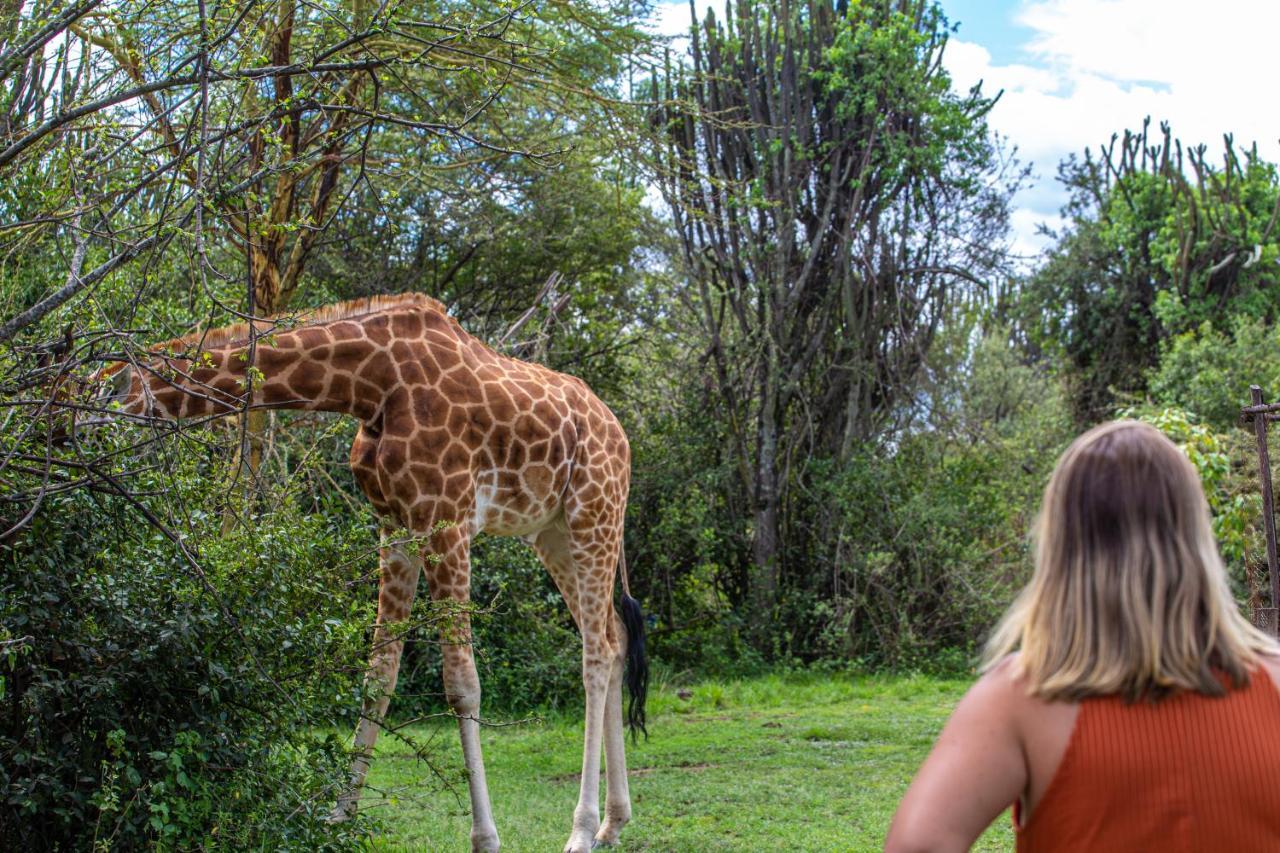 Mbweha Camp Lake Nakuru Elmenteita Ngoại thất bức ảnh