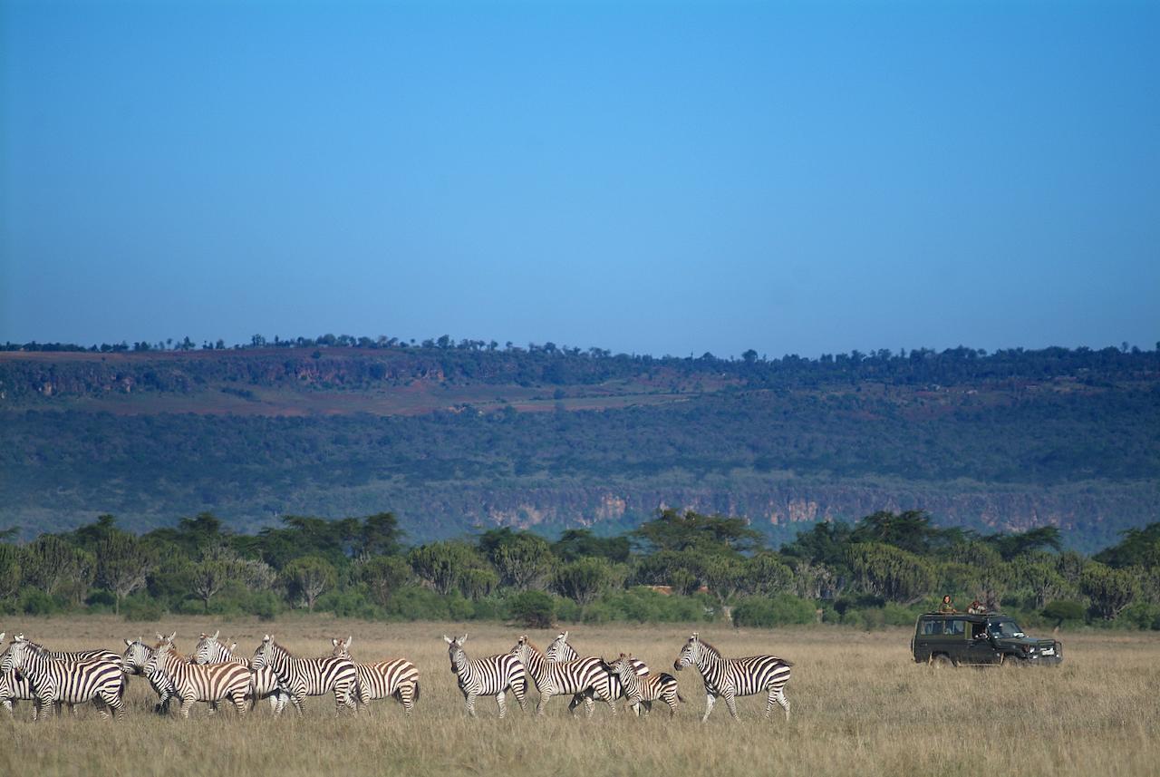 Mbweha Camp Lake Nakuru Elmenteita Ngoại thất bức ảnh