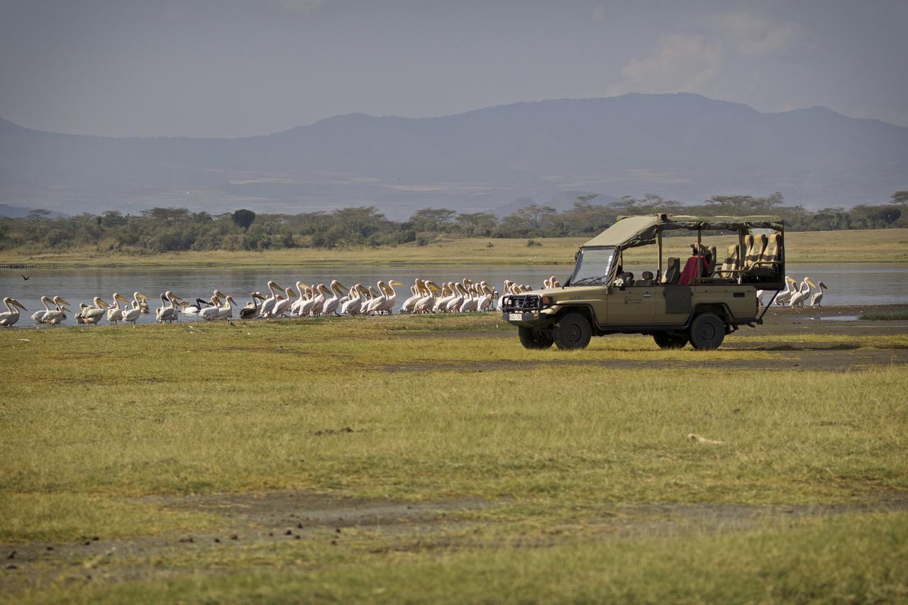 Mbweha Camp Lake Nakuru Elmenteita Ngoại thất bức ảnh